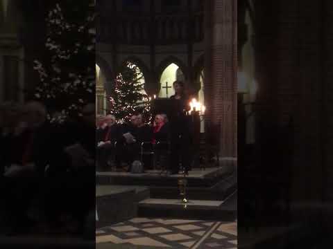 Excultate Jubilate - Allegro