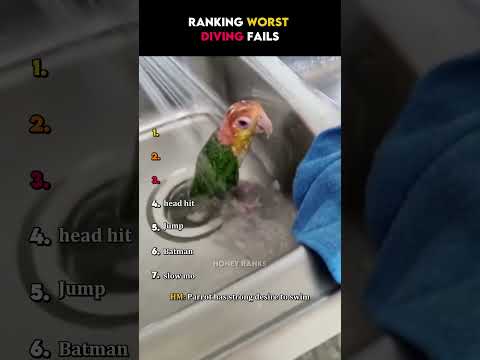 Ranking Worst Diving Fails 😭🥀🙏🏻