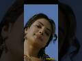 Romantic Shayari Status Shahid Whatsapp Youtube Shayari Video Teri Meri Kahani