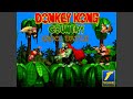 Donkey Kong Country K Rool Battle Advertisment