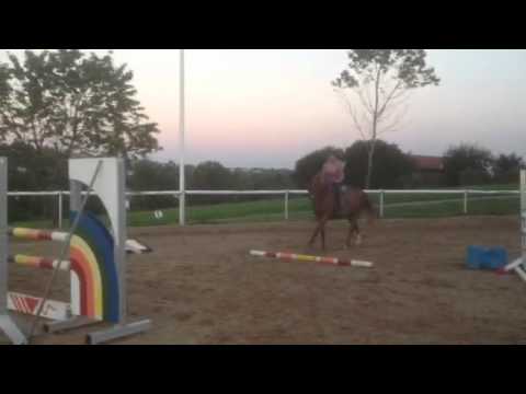 Sportpferde-ASG - Tiara