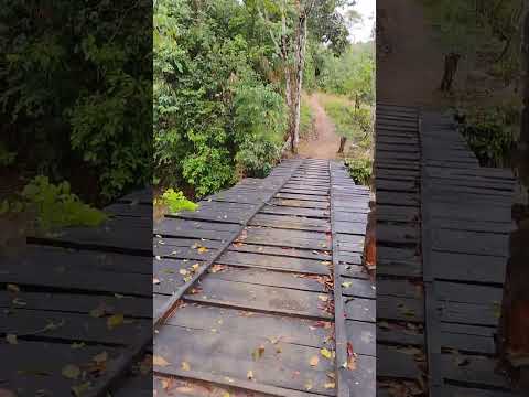 Uribe (Meta). Llanos Orientales. Bello Amanecer llanero. m.@.@🦇