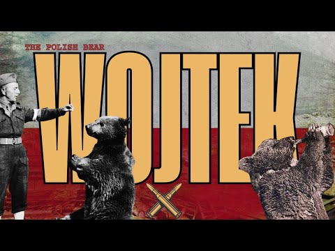 Wojtek - The Polish Secret Weapon
