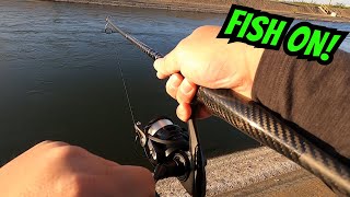 I'M BACKKK!! | CA Aqueduct Fishing | PISCIFUN Carbon R1 and Carbon X II | Iu Mien Fishing