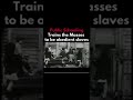 Obedient Slave Training Facility