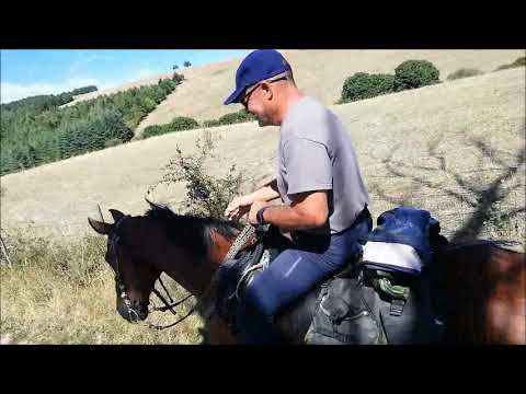 Due cavalieri erranti - 26 agosto 2020