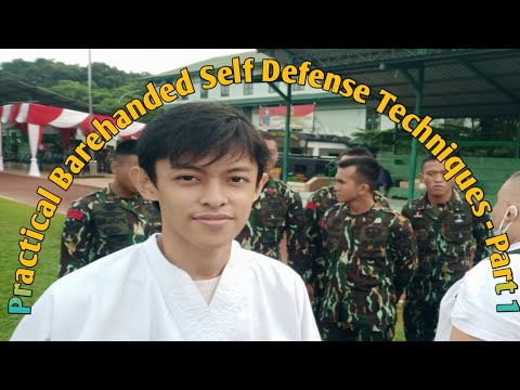 Practical Barehanded Self Defense Techniques - PGB White Crane  Group Lawang Gintung - Part 1