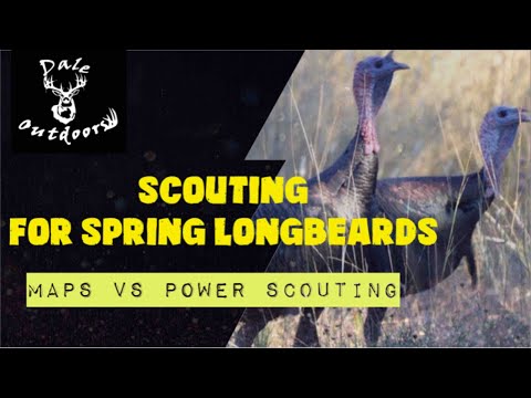 Scouting For Spring Longbeards/    Maps vs Power Scouting