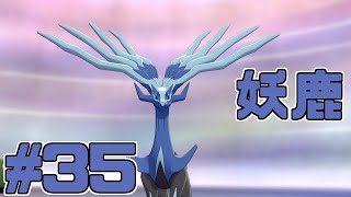 【役割論理】ポケモン剣盾で役割論理ですぞpart35 物理ヤルネアス編【やろびのうた】