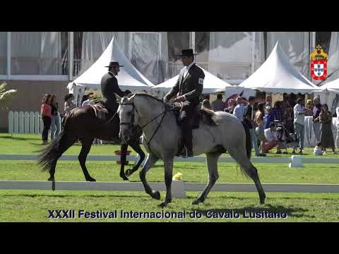 XXXII FIPSL - 210918 Modelos e Andamentos Classe VII Descendência de Garanhão