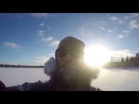 Hundeschlittentour Kiruna