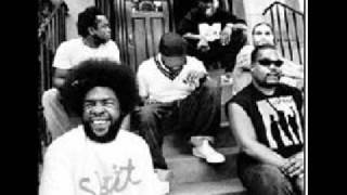 the roots - Duck down