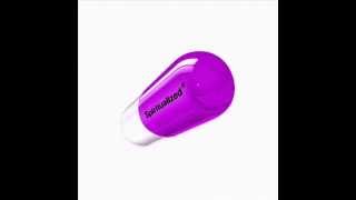 Spiritualized® - Run [live in Toronto, Canada 20/10/03] [audio only]