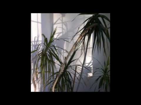 15. EREMSY - lost [21.12.2015]