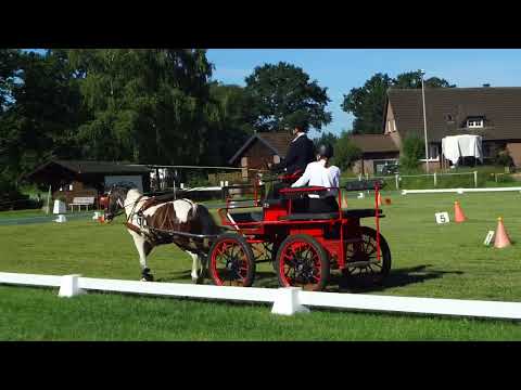 Fahrturnier Dörenthe 12.6.2022