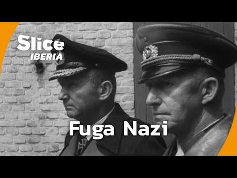 «Luna Carmesí y Nekome: Cazador de Nazis Confirman Ventanas de Lanzamiento»
