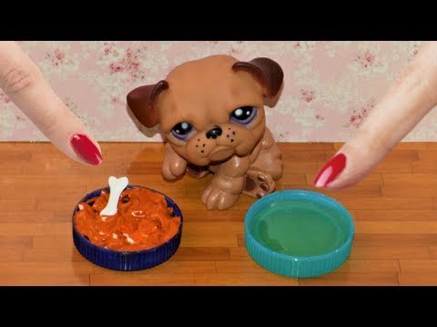 DIY Miniature Dog Food and Water 🐶 How to Make Miniature Things