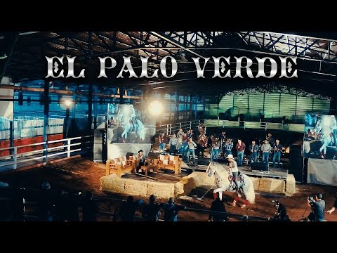 Joel Elizalde - El Palo Verde (En Vivo)