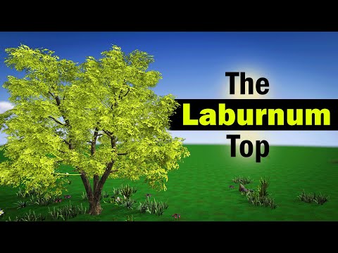 The Laburnum Top Class 11 Poem Animation in English