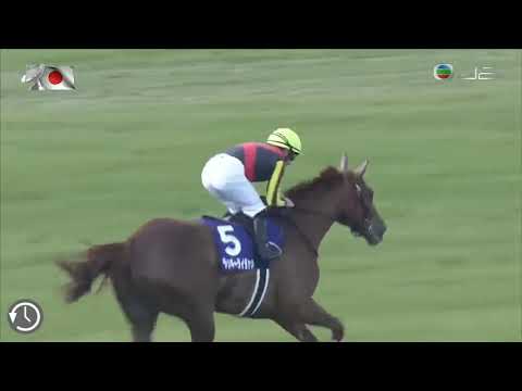 2020大阪盃 2020 Osaka Hai G1