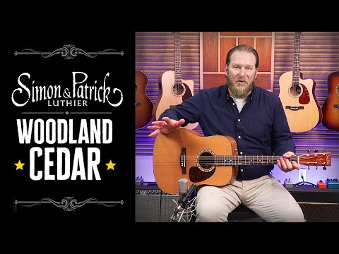 Warm, Loud, and ALIVE!🔥🎸 Simon & Patrick Woodland Cedar Acoustic/Electric DEMO!
