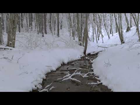 4K HDR Snowy Brook   Relaxing River Sounds   Peaceful Snow & Forest Stream   Flow music for sleeping