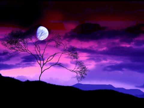 Vitor Miranda  "Noite cerrada"