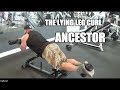 Antoine does a leg workout with explanations