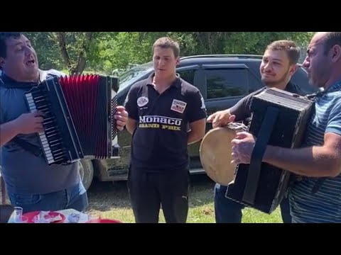 ეს უნდა ნახო ❤️🎶 ძმობის სიმღერა ❤️🎶 Dzmobis simgera ❤️🎶