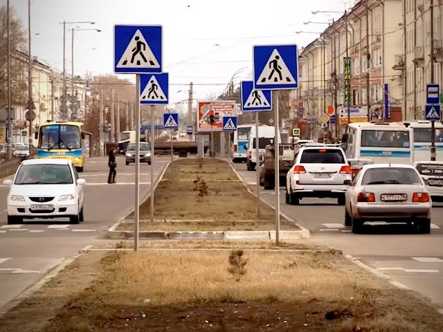 Дачные автобусы поделили