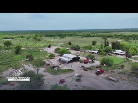 La Criolla – 10.600 Has en Formosa | Campo Ganadero y Agrícola con Gran Potencial