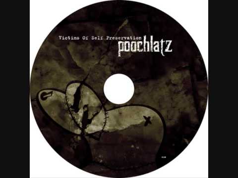 Poochlatz - imitate-meditate