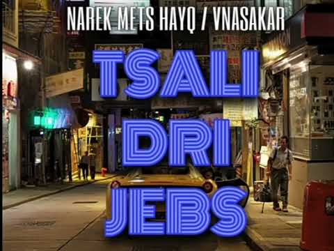 Narek Mets Hayq Ft. VnasaKar - Tsali Dri Jebs ( new / HIT / 2024 )