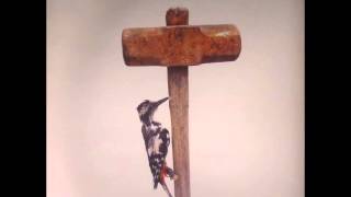 Alessandro Alessandroni - Stozzatrice