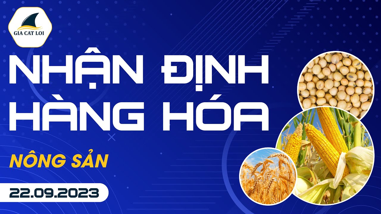 Nhận Định Hàng Hoá Nông Sản Ngày 22/09/2023