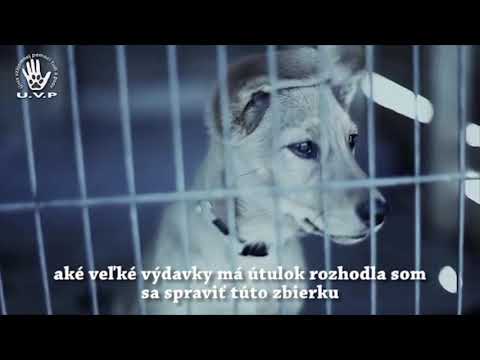 Kalendár pre Košický útulok