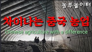 중국 변방의 차이나는 농장 방문 China Peripheral Labor Intensive Farm