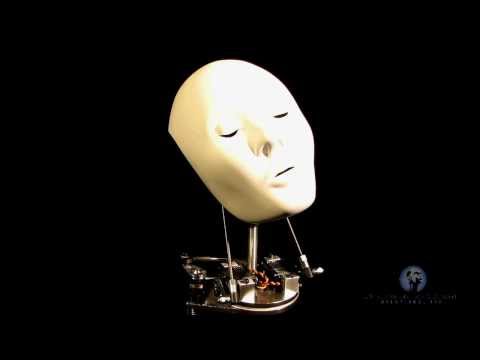 Neck Mechanism