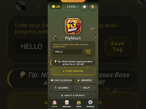 FlyMash video thumbnail
