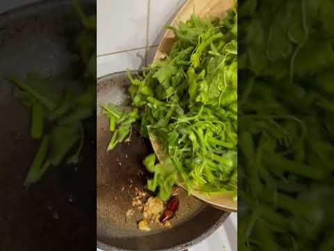 Cooking fresh chokos shoot from my kitchen garden #choko #veggies #kitchengarden #organicgardener