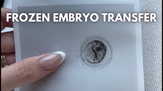 FERTILITY JOURNEY: 3rd Frozen Embryo Transfer