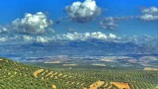 Basia &quot;An olive tree&quot;