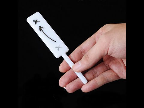 Voir la vidéo Paddle Paddle Move