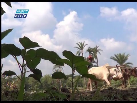 পৌষ মাসে যেনো চৈত্রের গরম