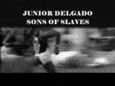 JUNIOR DELGADO-SONS OF SLAVES (LEE PERRY PROD.)