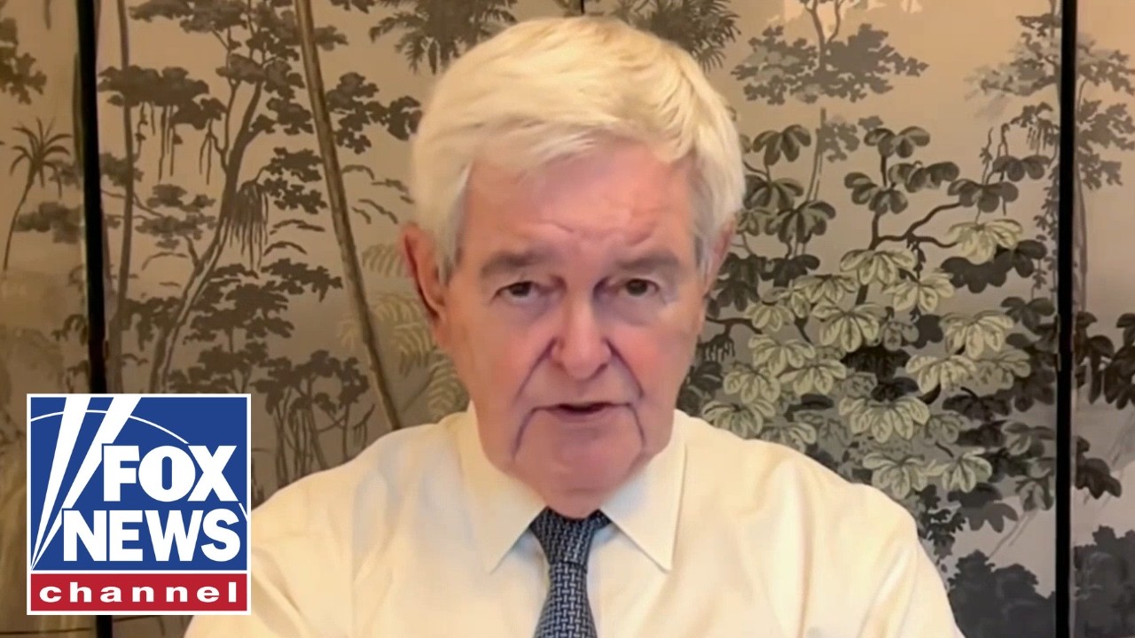 THIS system DOESN’T work: Newt Gingrich
