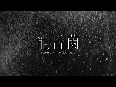 龍舌蘭風水