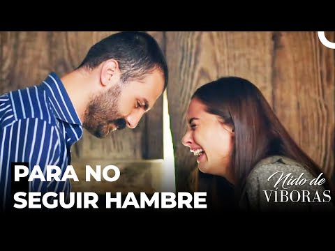 Esfuerzo De Encontrar Un Trabajo De Elvan Y Feyyaz - Nido De Víboras