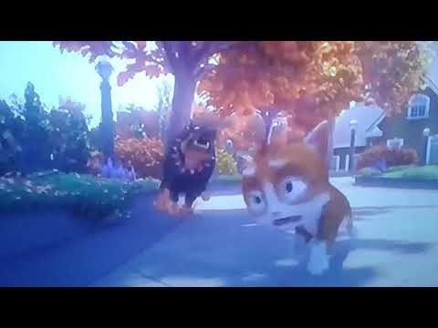Thunder: The House of Magic (2013) Dog chase Thunder