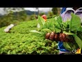 Curso Administração da Pequena Empresa Rural